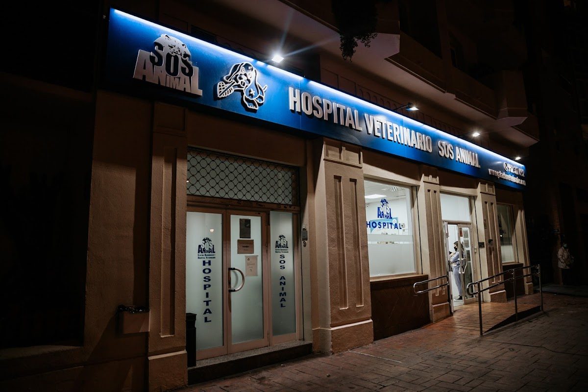 24 Hours Veterinary Hospital Animal SOS Málaga features a well-lit exterior with clear signage and a welcoming entrance.