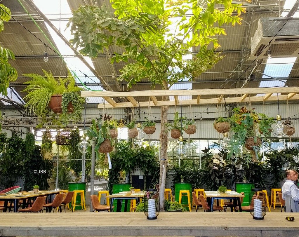 Agrojardín Garden Center features a vibrant indoor space with hanging plants and colorful seating.