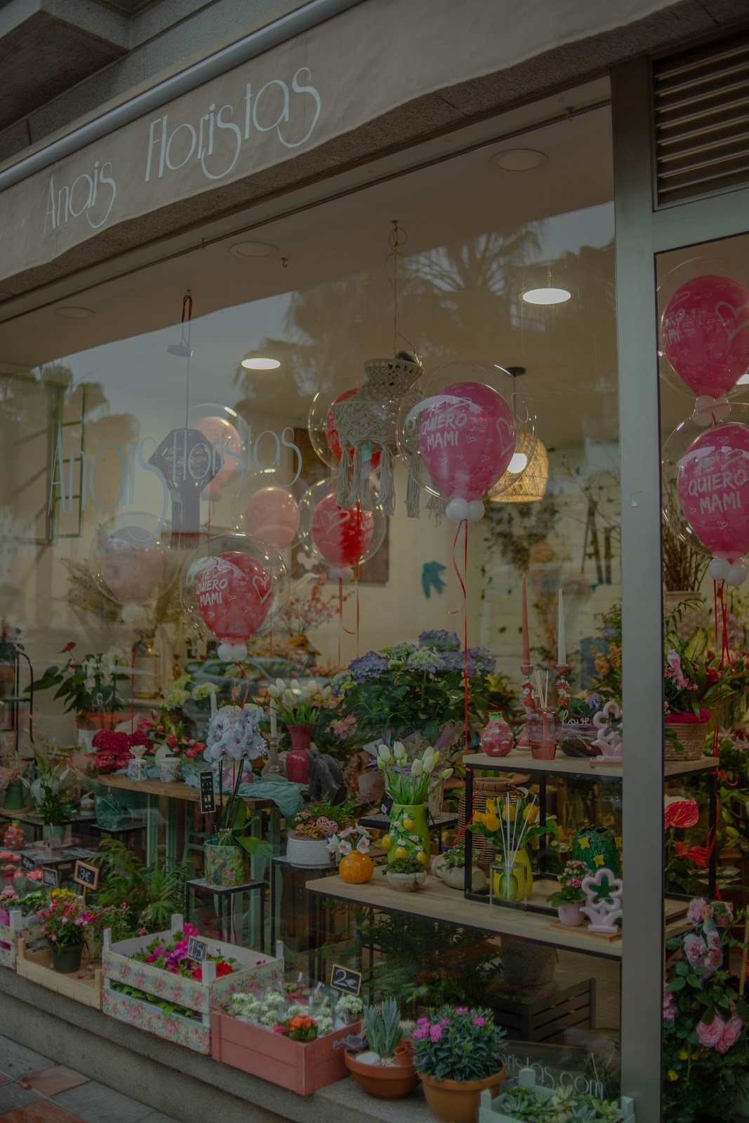 El escaparate de Anais Floristas exhibe flores coloridas, artículos decorativos y globos.
