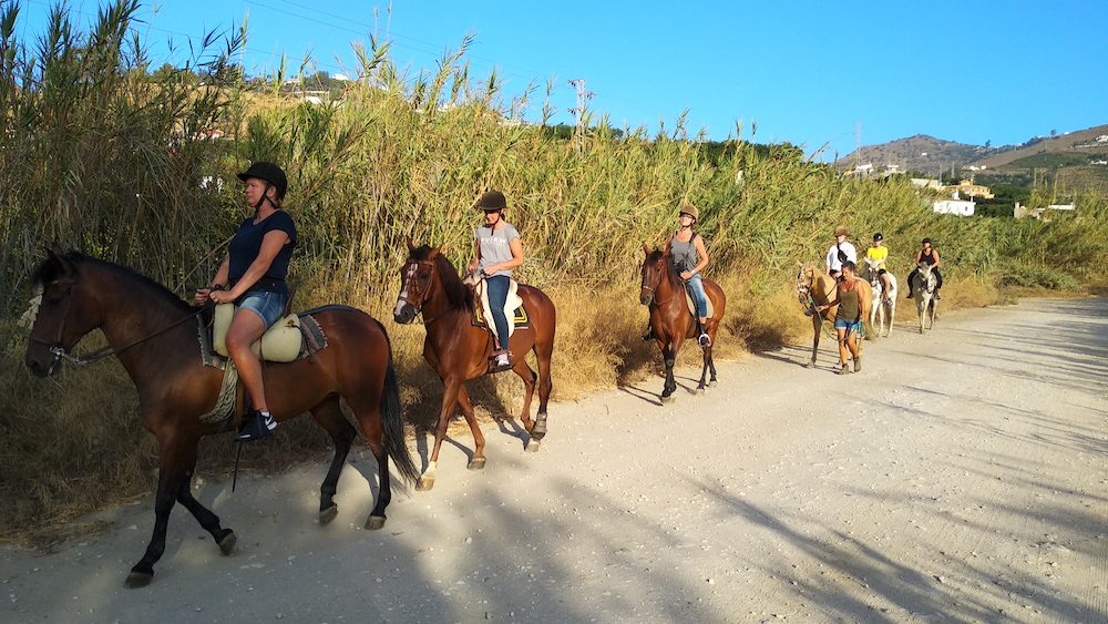Un grupo de jinetes a caballo recorriendo un camino de tierra rodeado de vegetación en el centro ecuestre de Andale, Nerja.