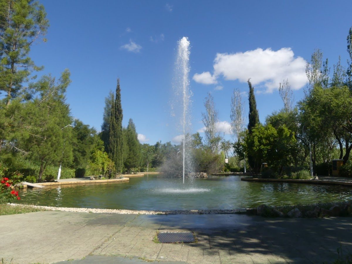 Fuente que arroja agua a un estanque rodeado de árboles y vegetación en el Área recreativa El Nacimiento.