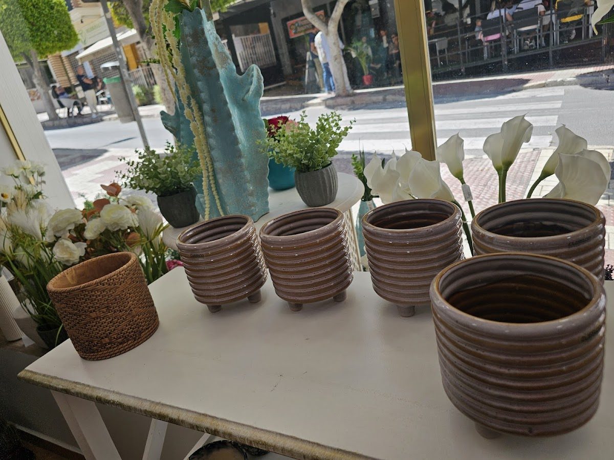 ARIES FLORISTAS presenta macetas decorativas y flores frescas expuestas en un luminoso interior de la tienda.