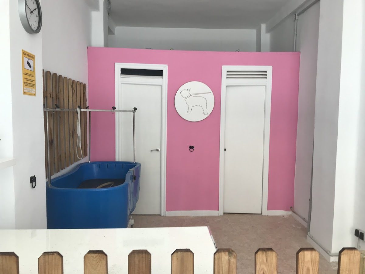 Interior de Barber Dog con una bañera azul y una pared rosa con el logotipo de un perro.