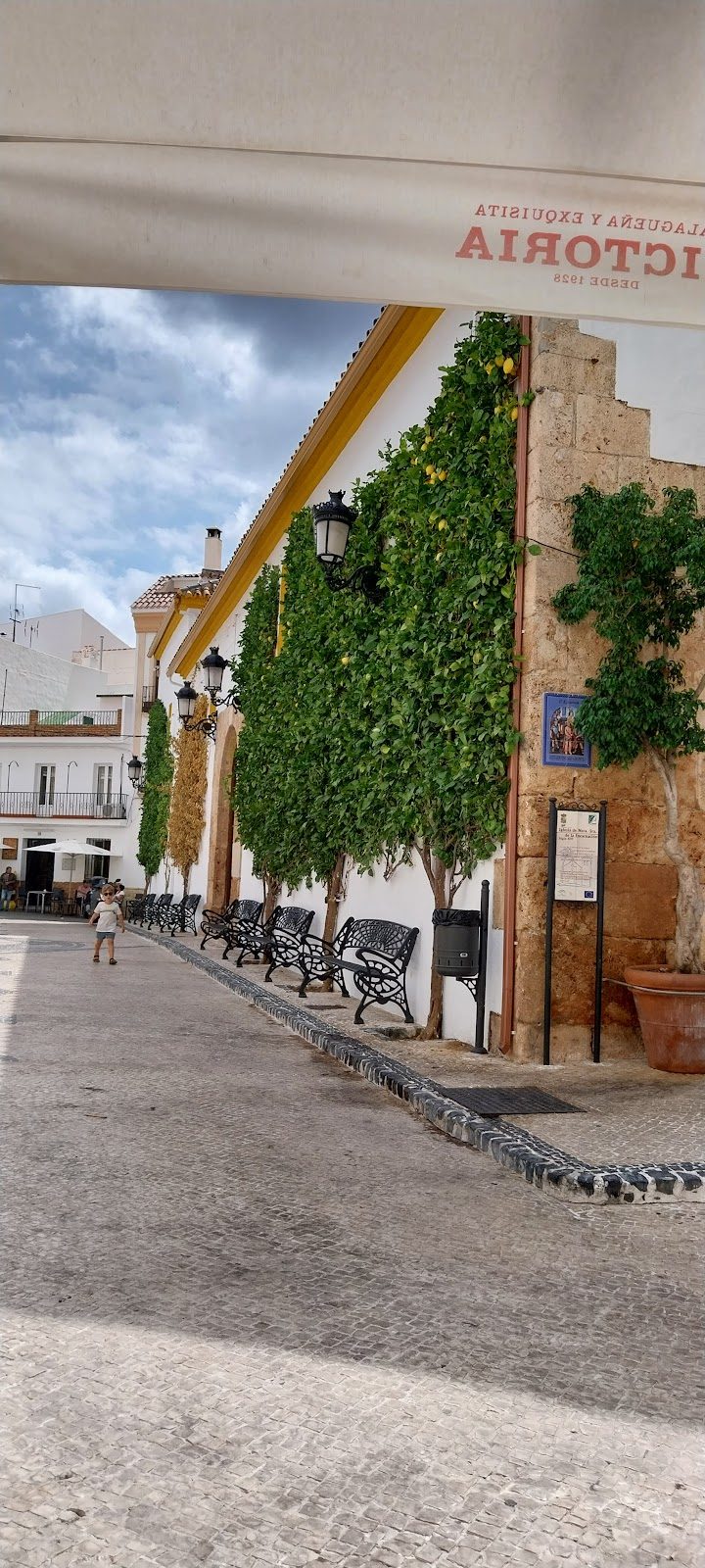 A charming street view of Bazar Ojén with greenery and benches along the cobblestone path.