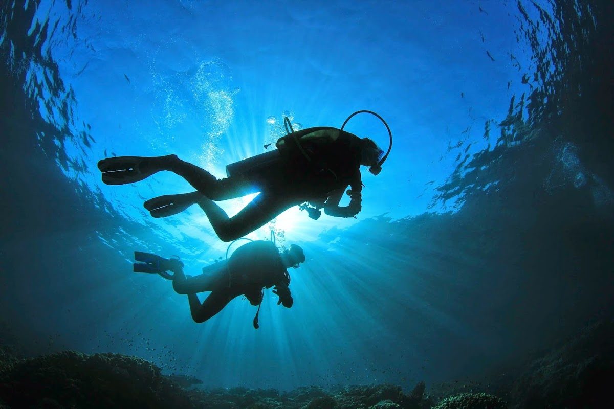 Black Frog Divers