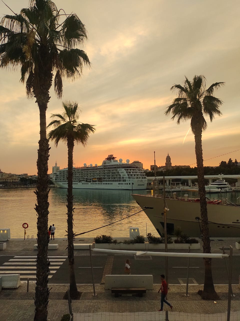Vista de una puesta de sol sobre el puerto con palmeras y cruceros en Butterfly Travel Málaga.