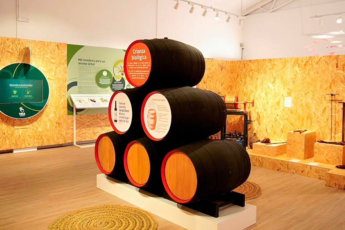 Centro de Interpretación del Vino y el Aceite