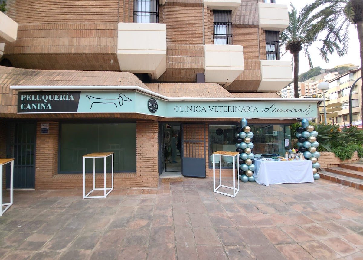 El exterior de la Clínica Veterinaria Limonar presenta una entrada acogedora con globos decorativos y señalización.