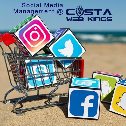 Costa Web Kings
