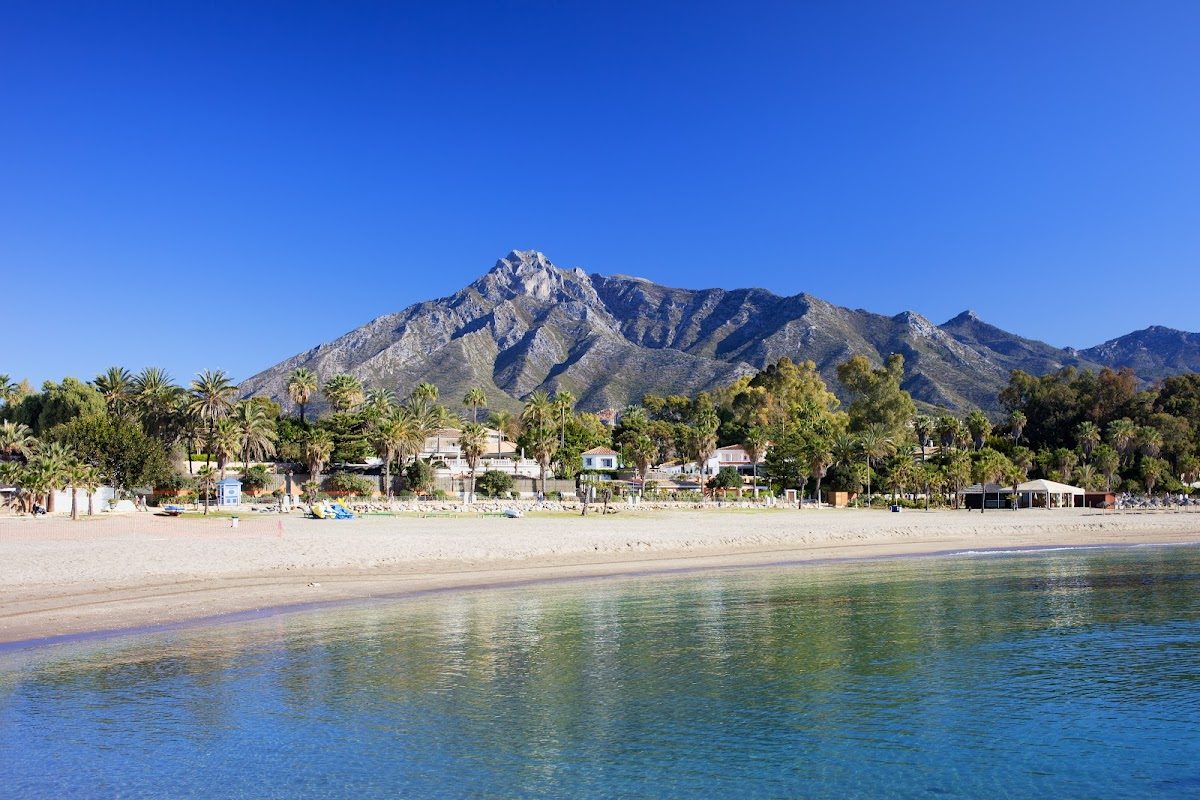 Scenic view of a beach with palm trees and mountains in the background, near Marbella.