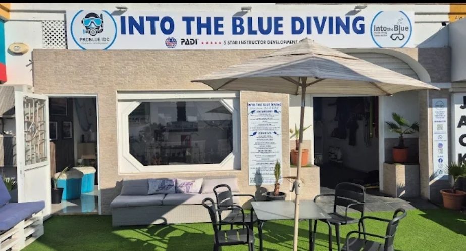 Diving Into the Blue