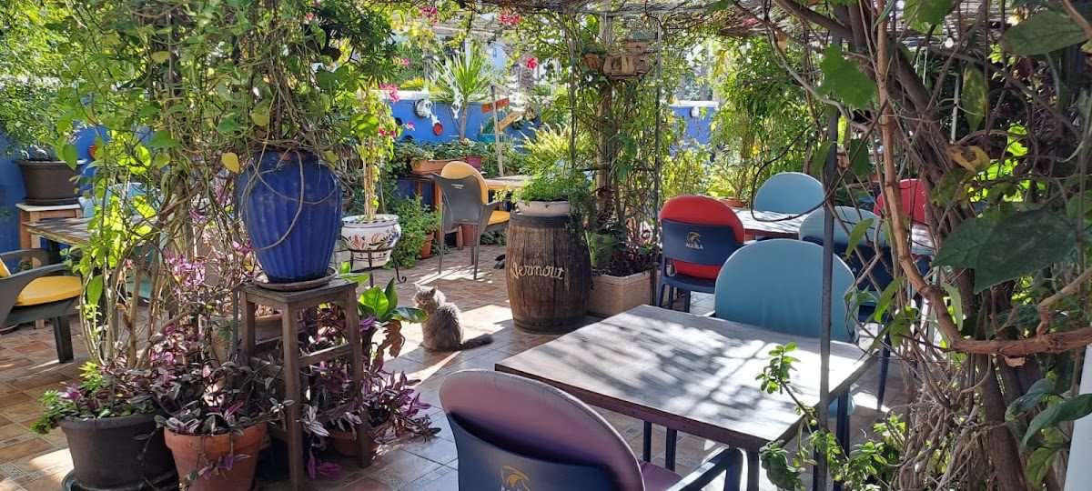 EL JARDÍN DE TETE Y CRIS