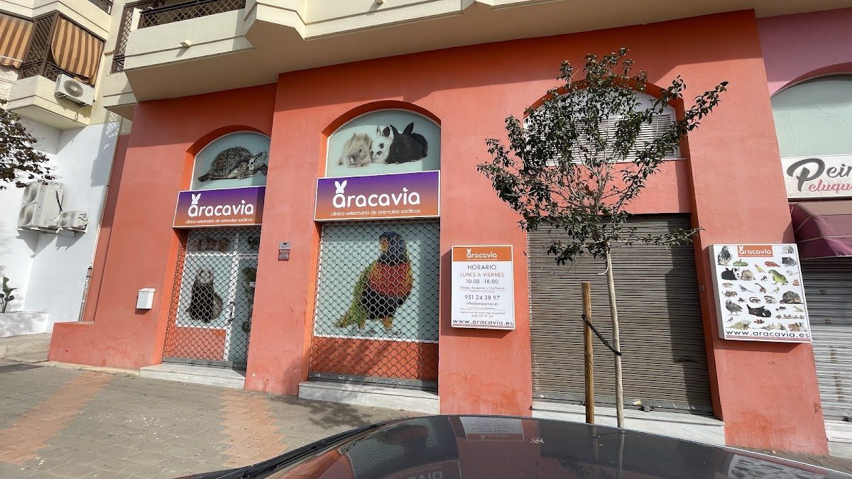 exotic animal veterinary clinic ARACAVIA