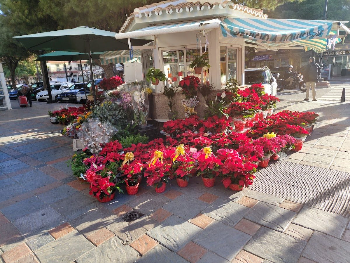 Flores jose
