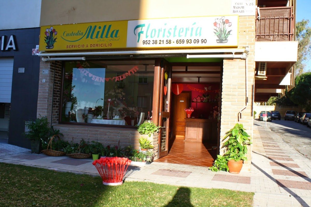 FLORES TORREMOLINOS-CUSTODIA MILLA