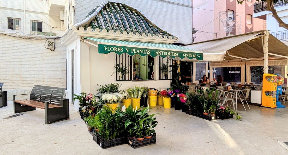 Flores y Plantas Antequera