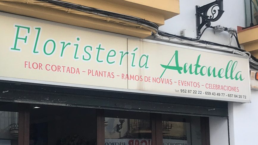 Floristería Antonella Ronda