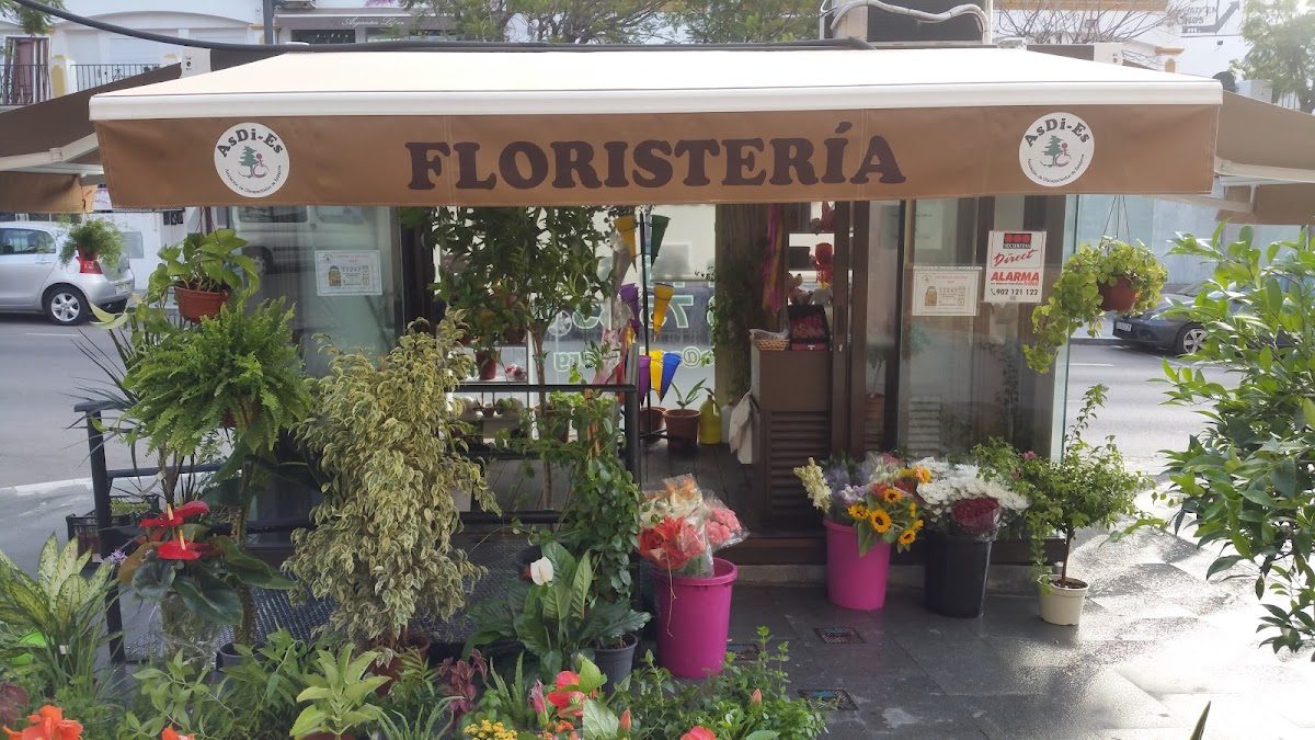Floristería ASDIES
