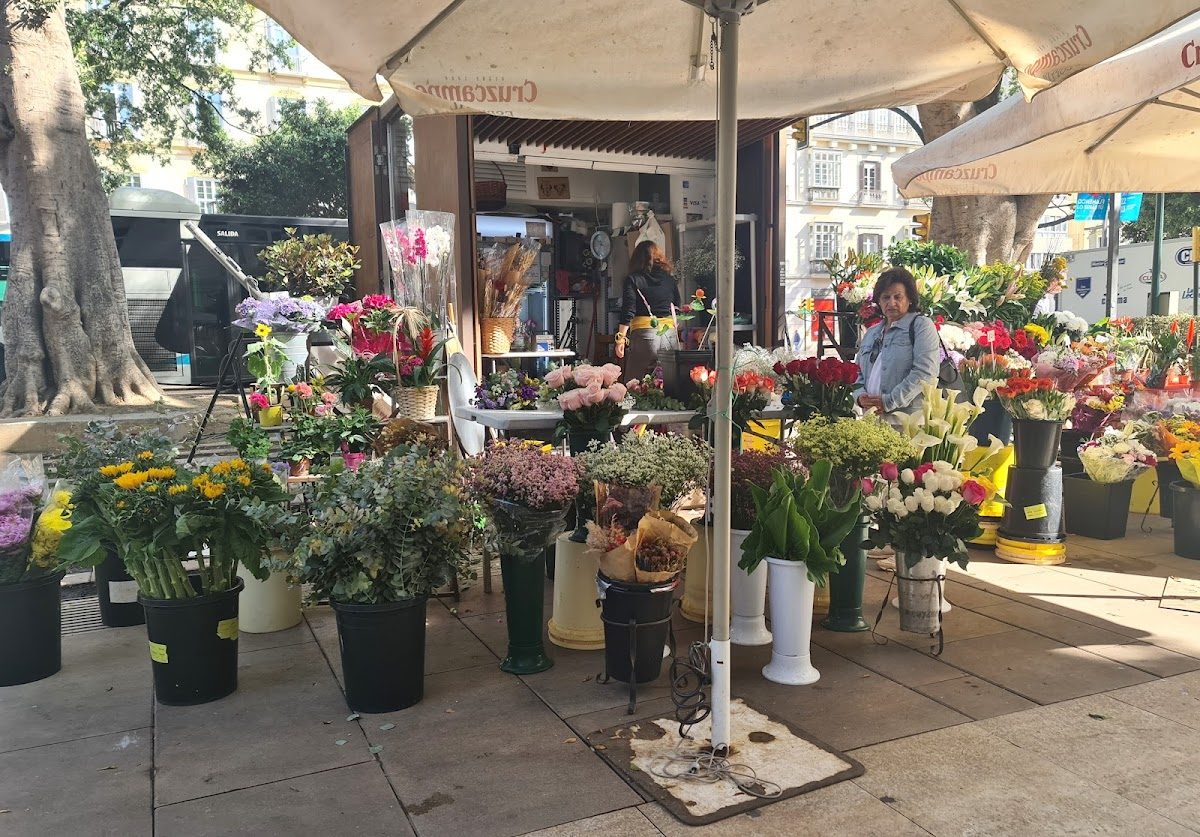 Floristería Emilia Alameda