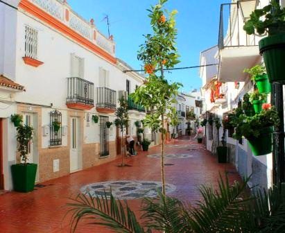 Flowerbeds and Flowerpots of Estepona
