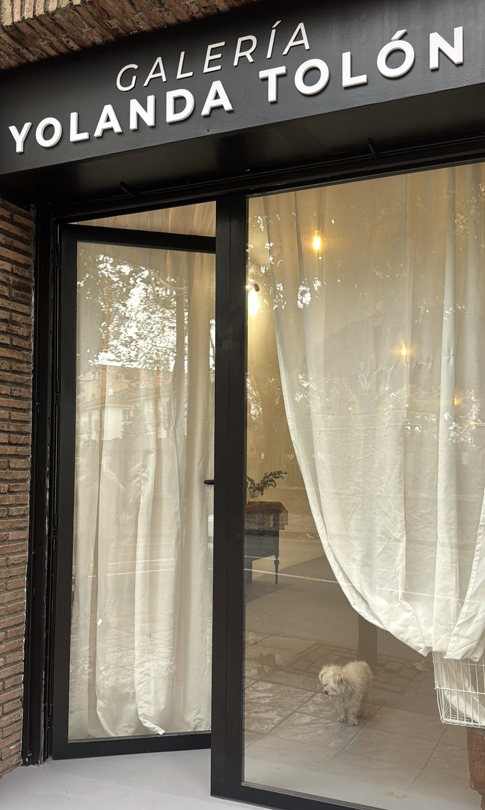 The entrance of GALERÍA YOLANDA TOLÓN features sheer curtains and a small dog inside.