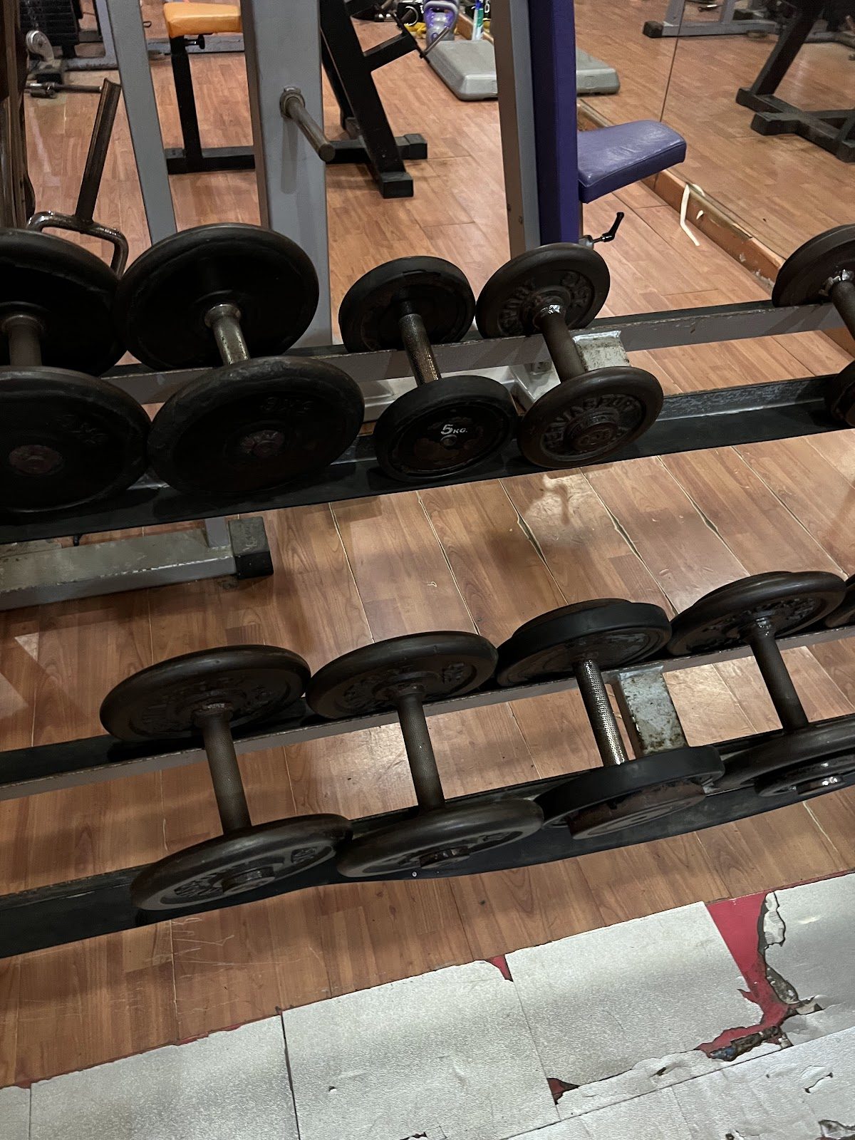 Gimnasio Laguna