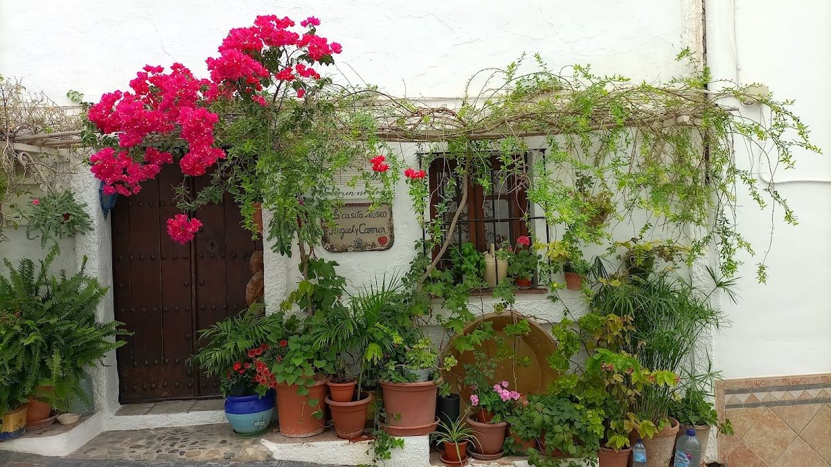 Un exterior encantador con flores y plantas vibrantes que adornan la entrada de Home of en Coín.