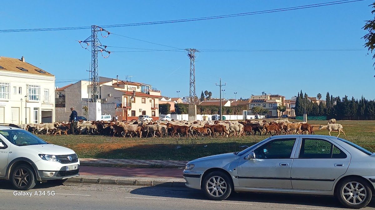 Inmobiliaria La Viña