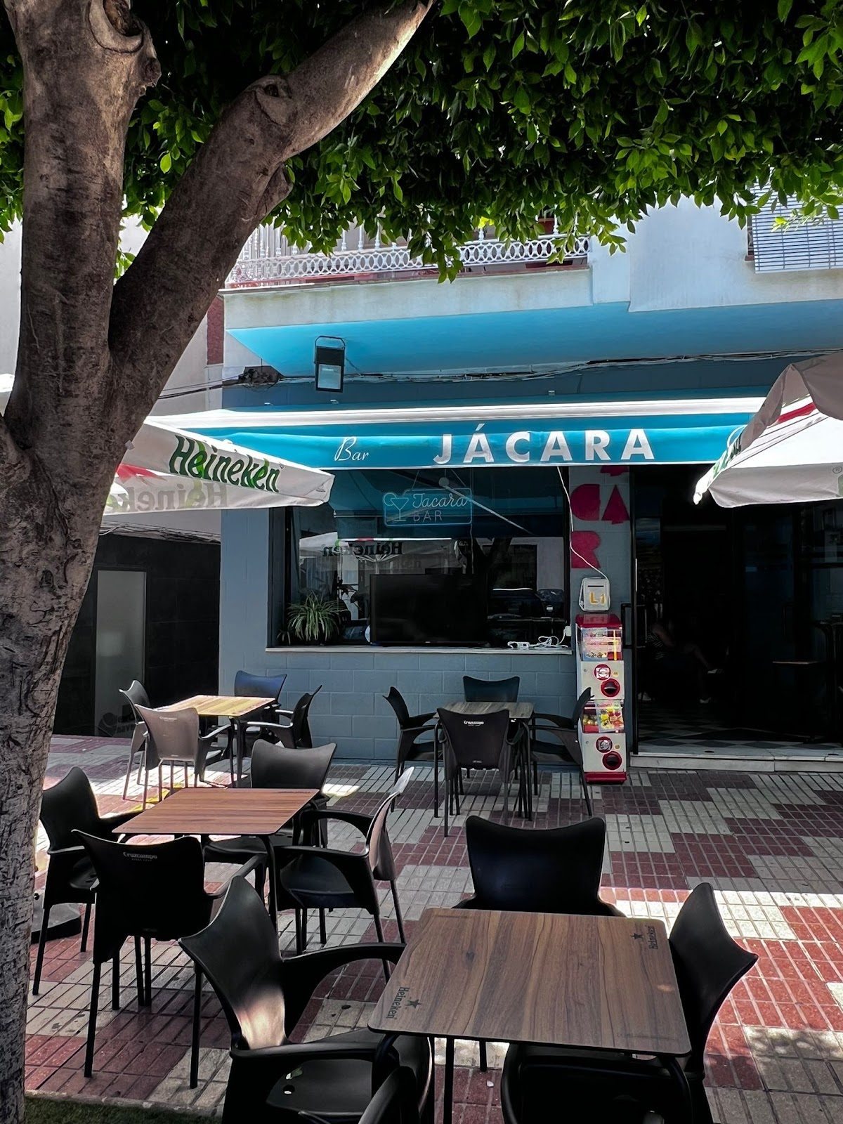 Jacara