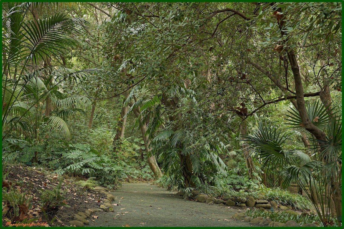 Jardín Botánico - Histórico La Concepción