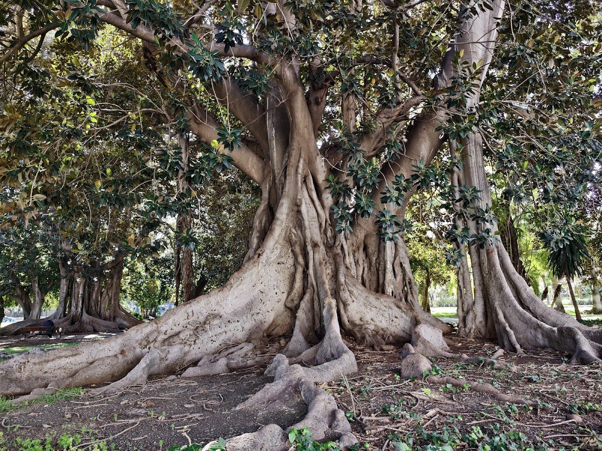 Jardines Picasso