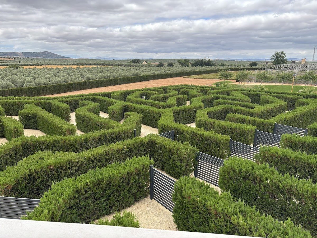 Laberintus Park features a vast hedge maze surrounded by scenic countryside views in Mollina, Málaga.