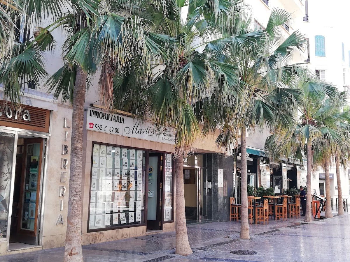 Librería Ancora