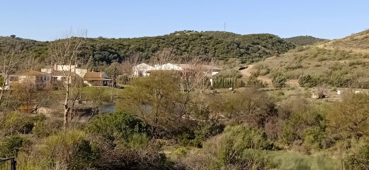 Madaura