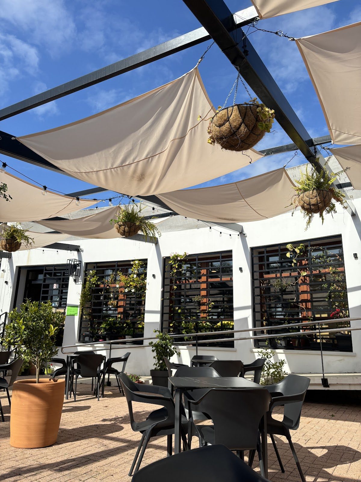Manee Thai Kitchen cuenta con una luminosa zona de comedor al aire libre con plantas colgantes y asientos a la sombra.