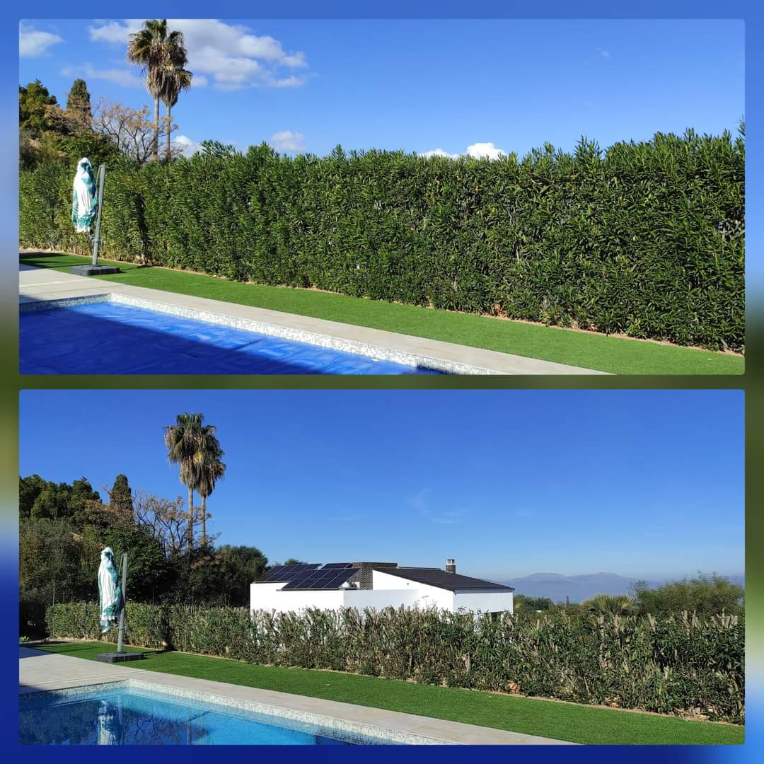 A lush green hedge surrounds a swimming pool, with a statue and mountains in the background at Martín Jardín.