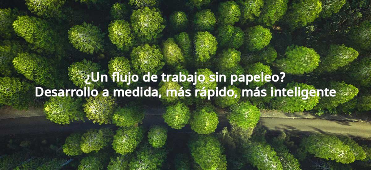 Máxima Web