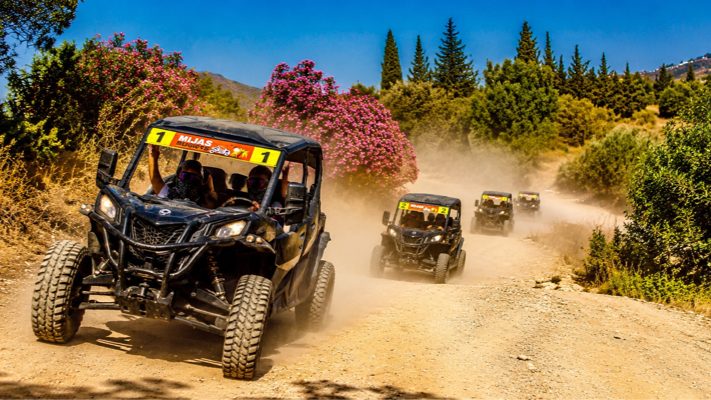 Mijas buggys
