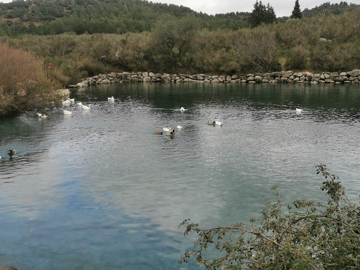 Nacimiento del Río de la Villa