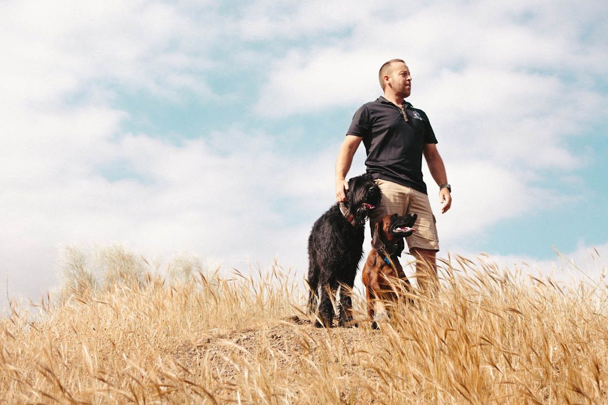 Un hombre se encuentra en un campo con dos perros, mostrando un entorno natural para el entrenamiento canino.