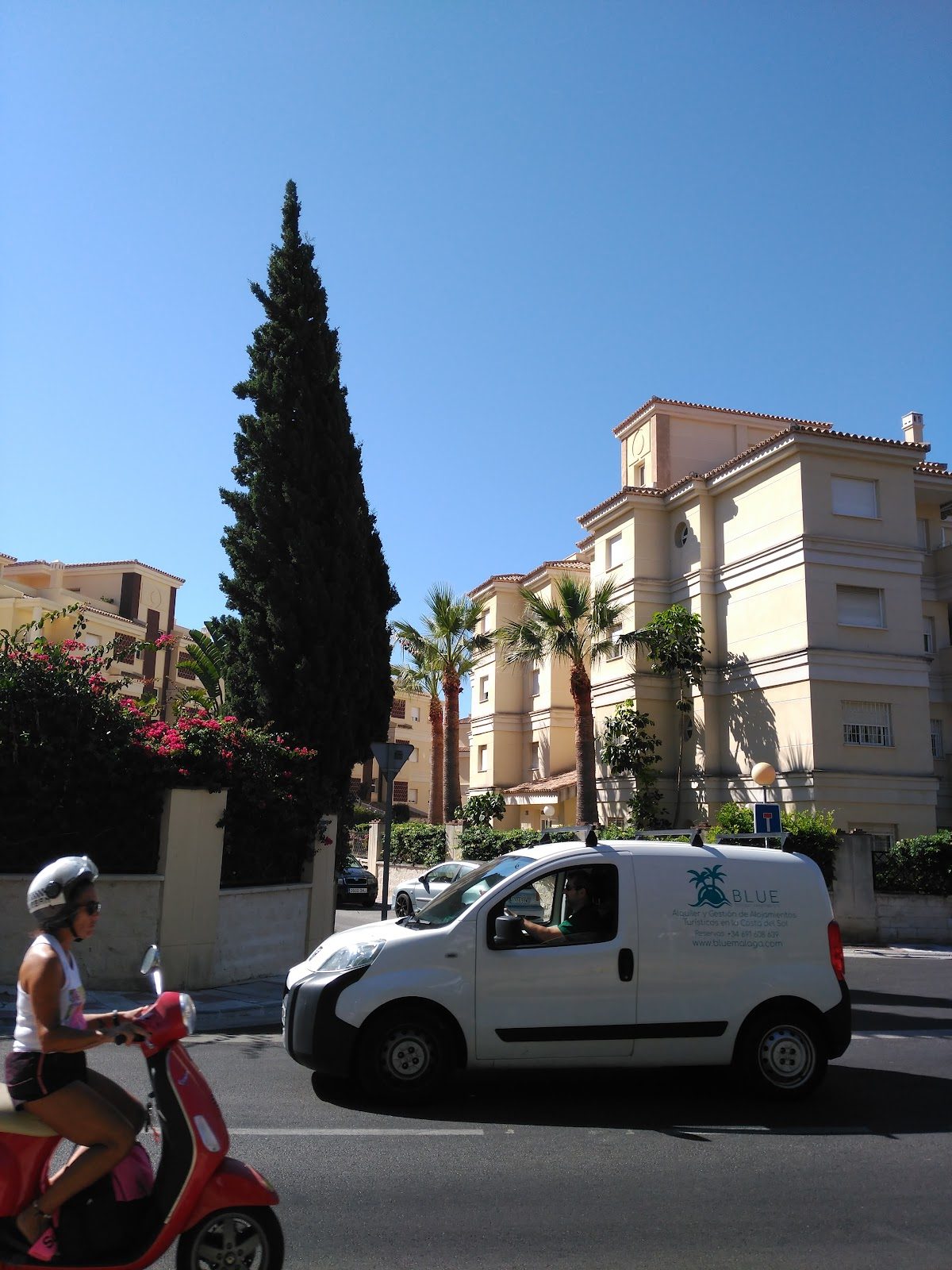 Nieves Andraca Díaz / Traductora Jurada Málaga