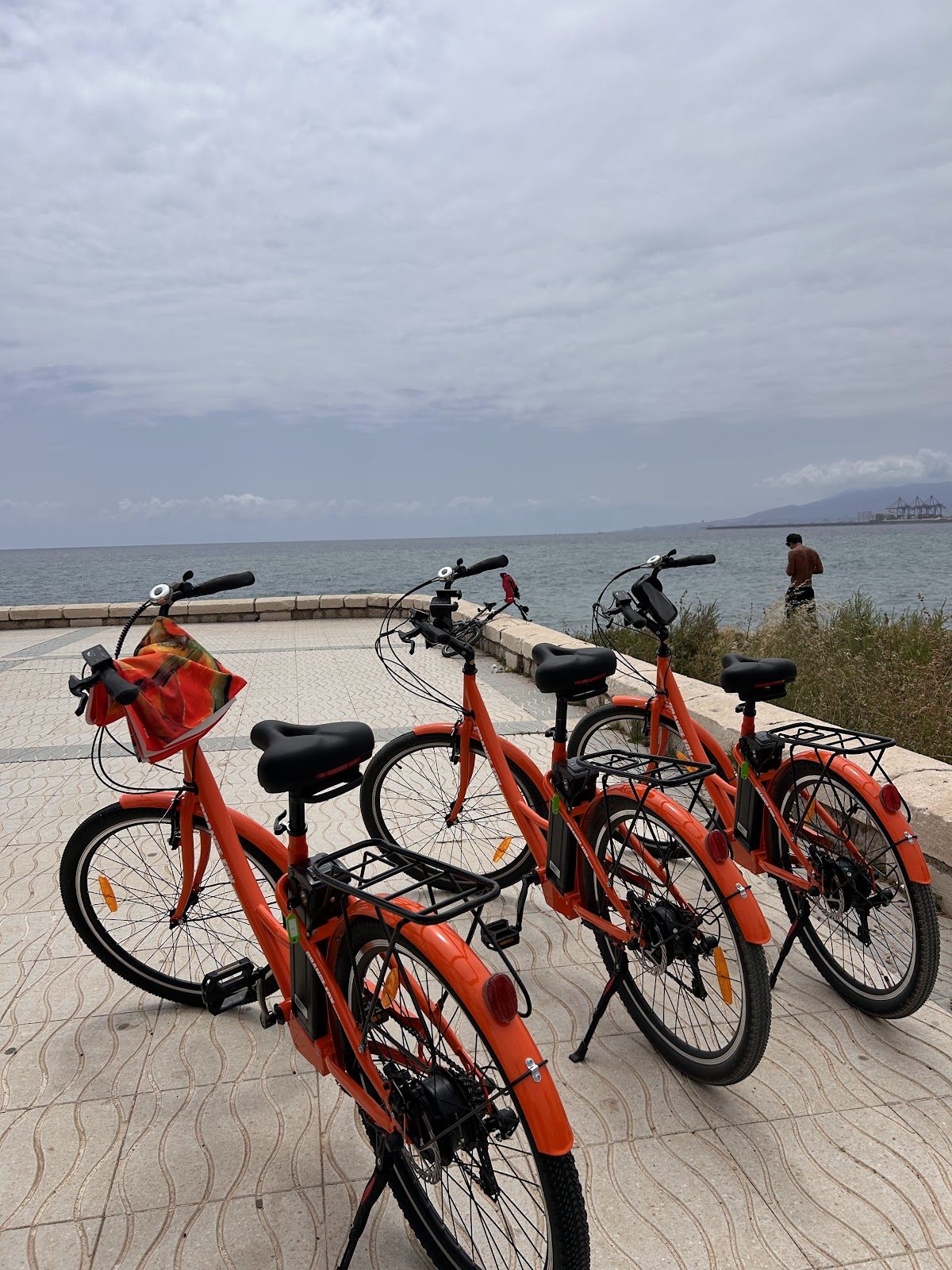 Orange Fox Bike Rental Malaga & Tours