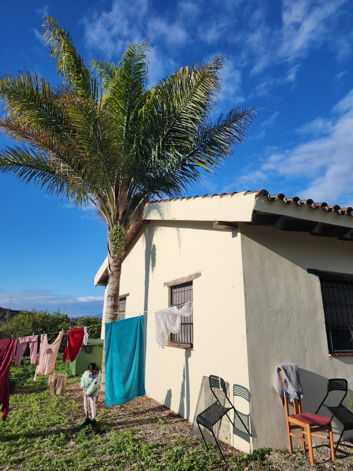 A house with a palm tree and clothes hanging on a line in a sunny outdoor area.