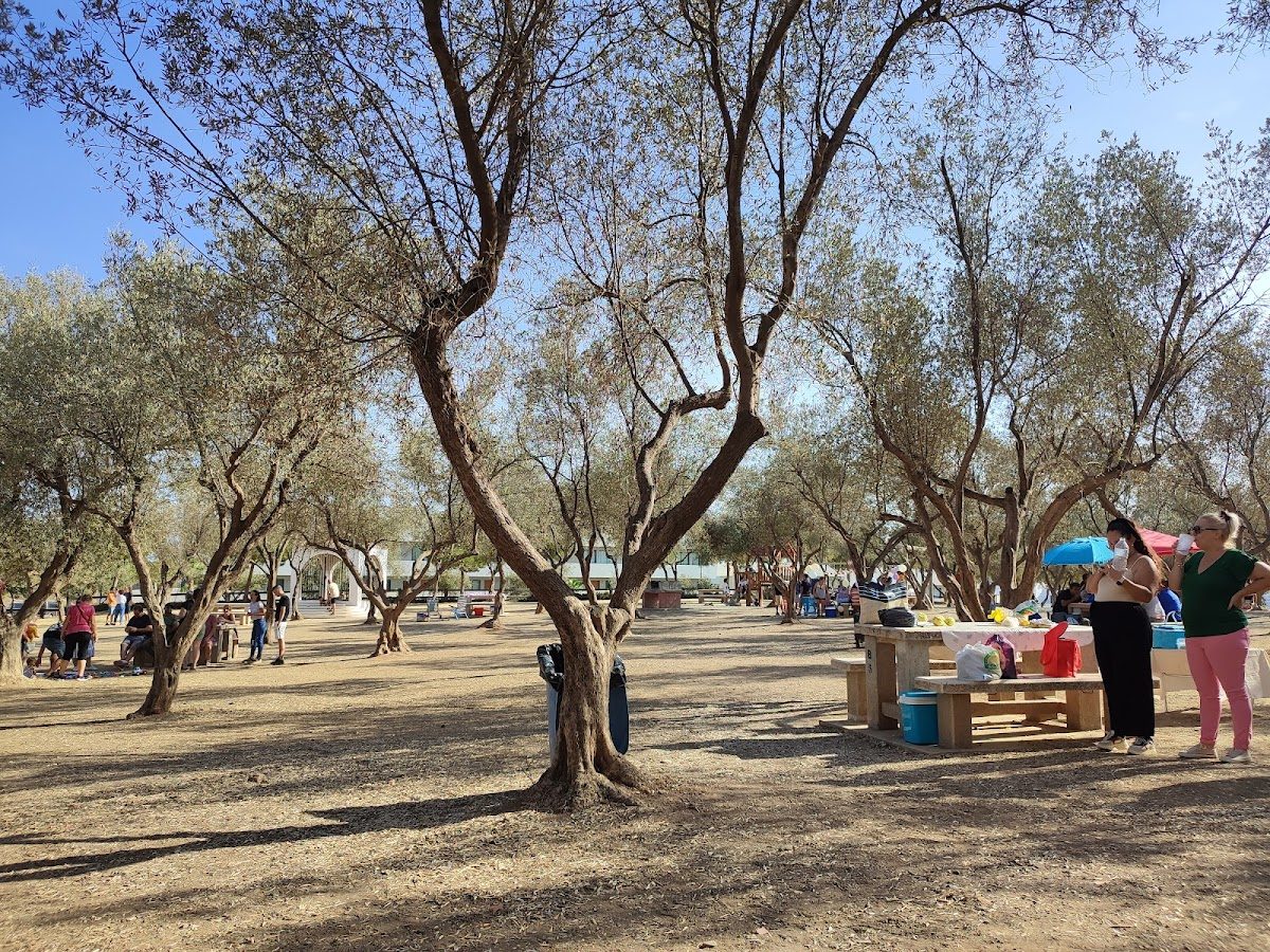 Parque Los Olivos