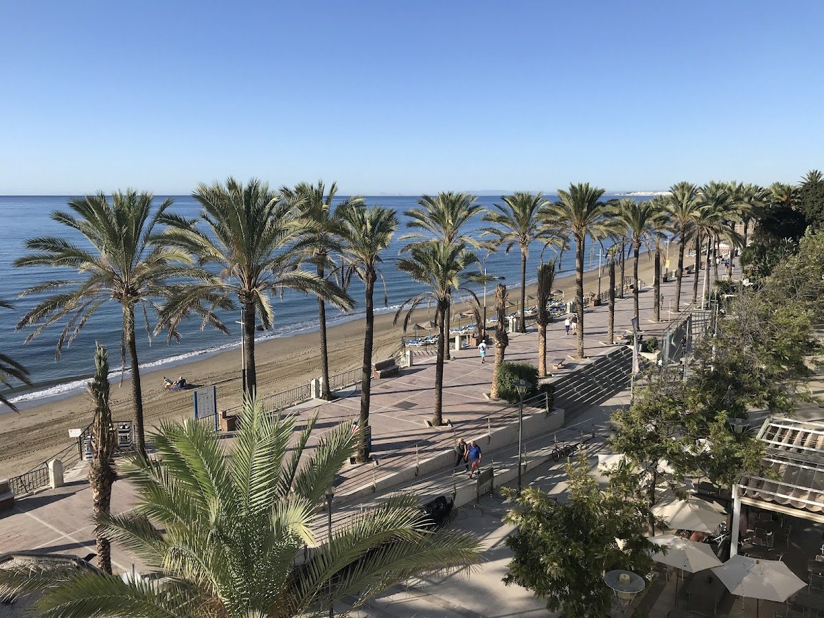Una vista panorámica del Paseo Marítimo de Marbella con palmeras a lo largo de la playa y un cielo azul despejado.