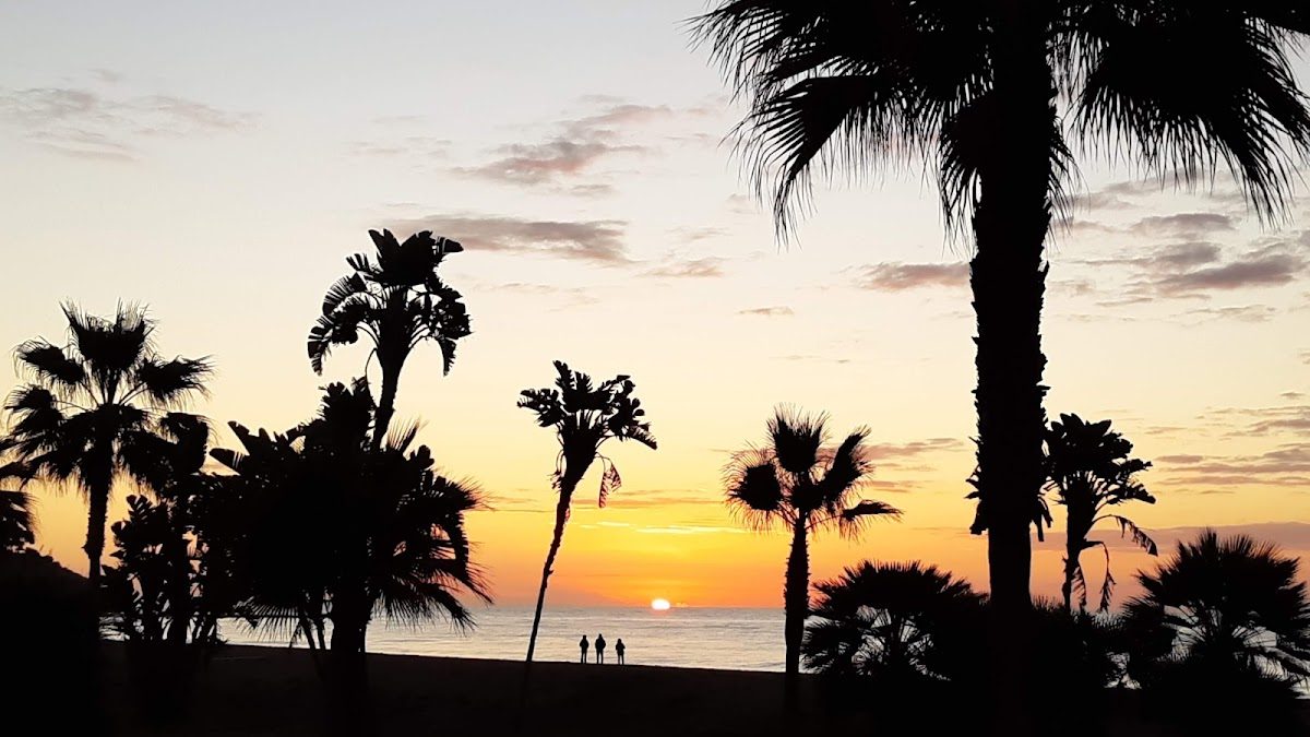 Las siluetas de las palmeras enmarcan una puesta de sol sobre la playa de La Cala del Moral.
