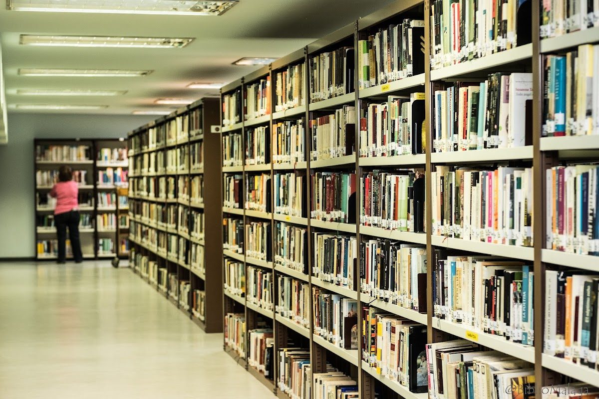 Interior view of the Provincial Library of Málaga, showcasing tall bookshelves filled with books and a person browsing.