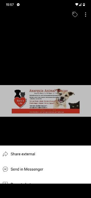 Un banner de Axarquía Animal Rescue que promueve la adopción de mascotas y el bienestar animal.