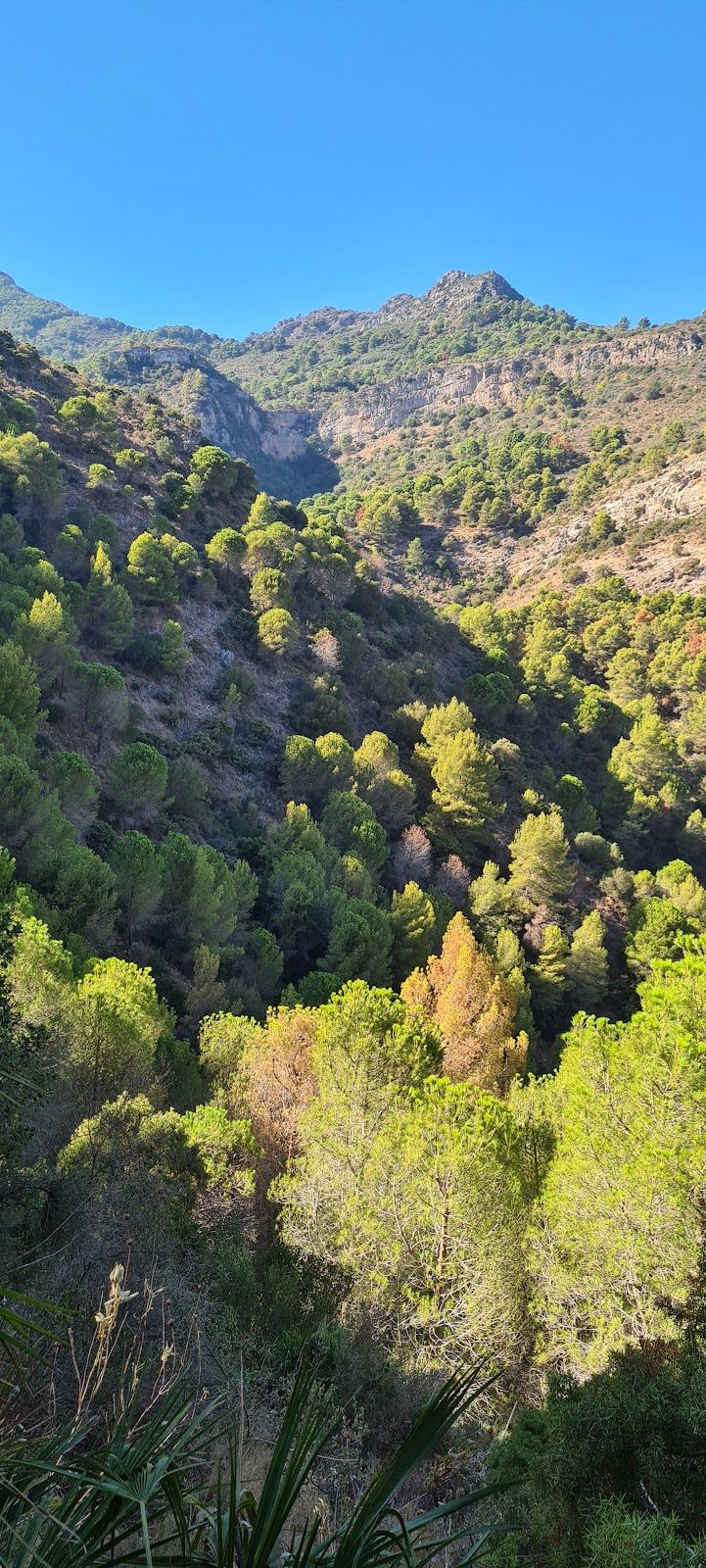 Sendero Inicio