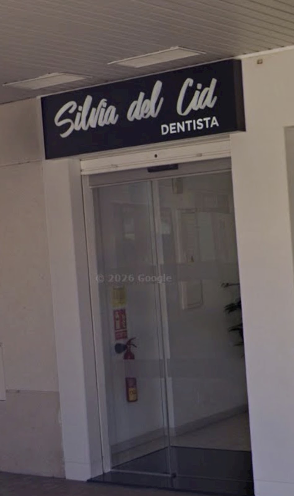 Silvia del Cid